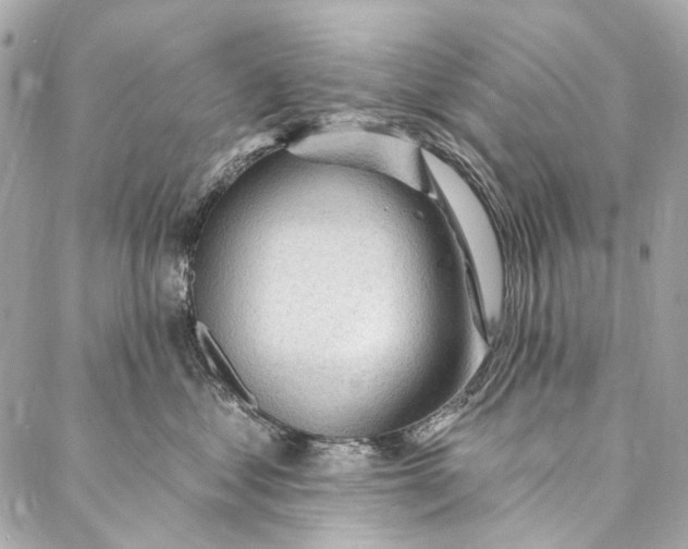 X0000087030621200705071536