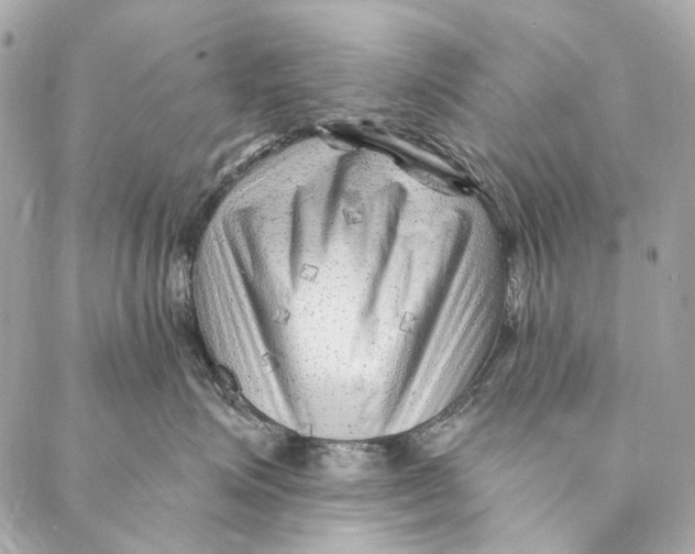 X0000087030623200705071536