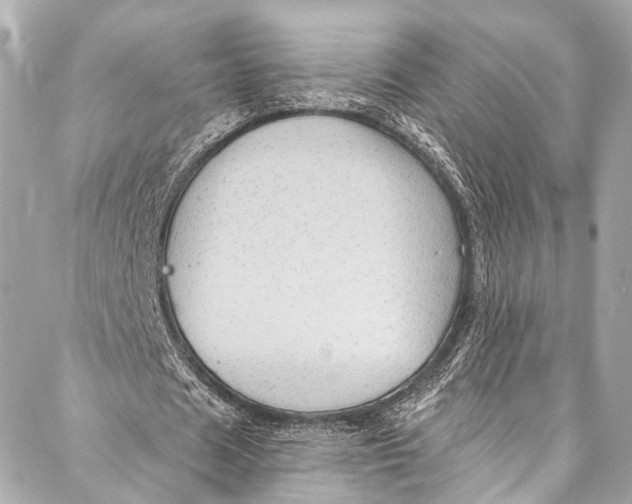 X0000087030625200705071535