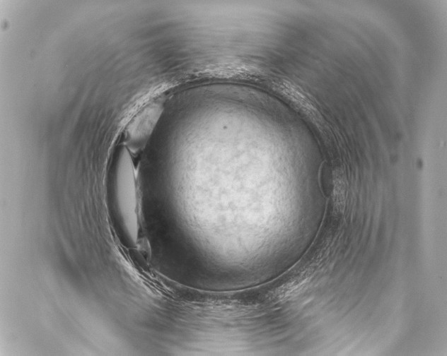 X0000087030626200705071535