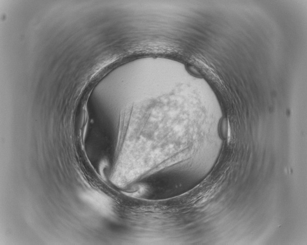 X0000087030627200705071535