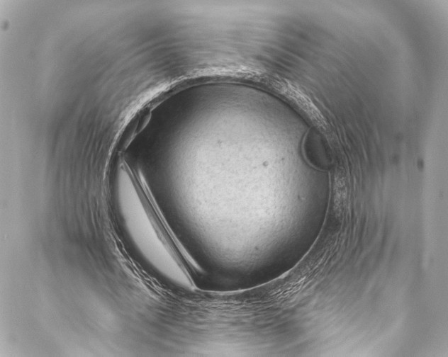 X0000087030628200705071535