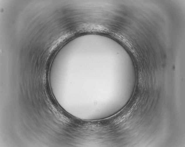 X0000087030629200705071535