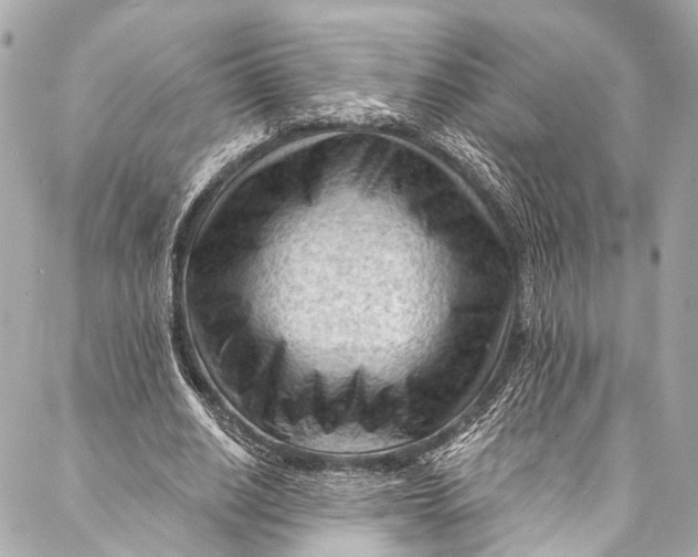 X0000087030630200705071535