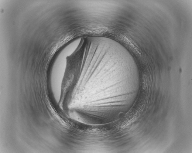 X0000087030634200705071535