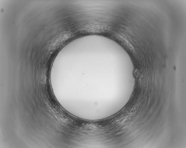 X0000087030635200705071535