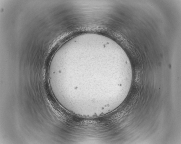 X0000087030636200705071535