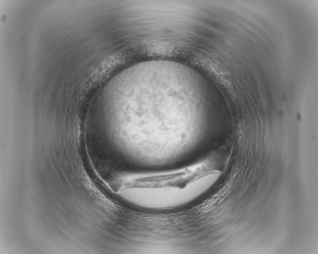 X0000087030637200705071535