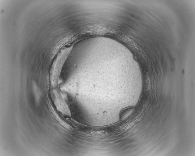 X0000087030638200705071535