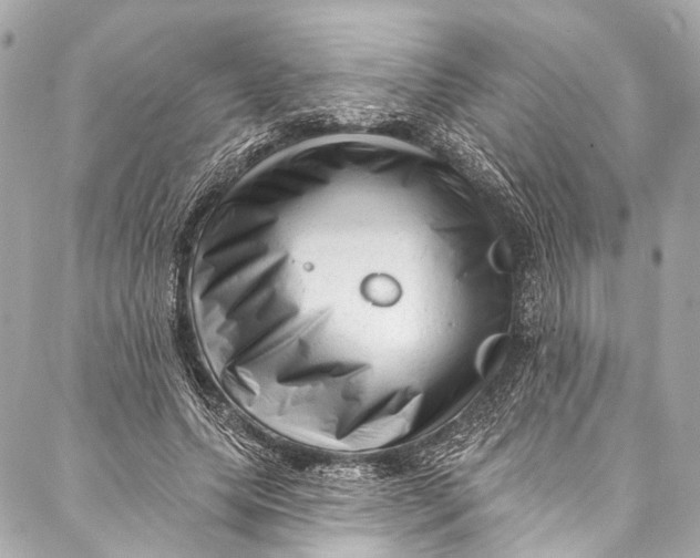 X0000087030639200705071535