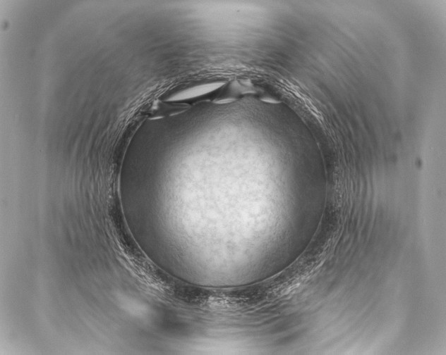 X0000087030641200705071535