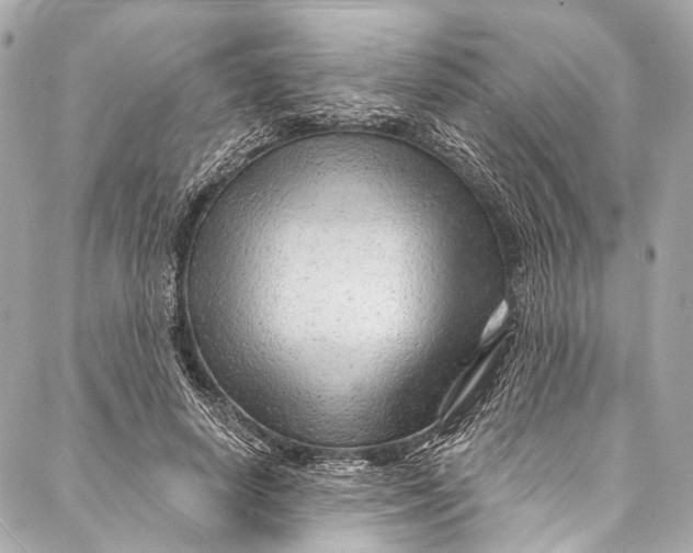 X0000087030642200705071535