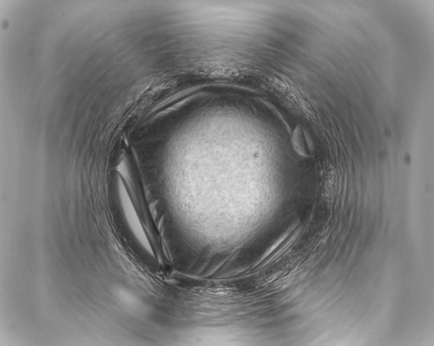 X0000087030643200705071535