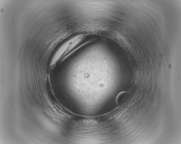 X0000087030644200705071535