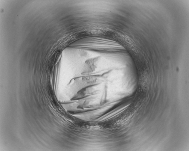 X0000087030645200705071535