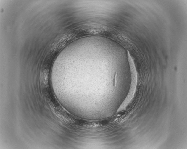 X0000087030646200705071535