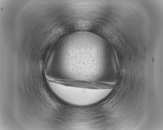 X0000087030647200705071535