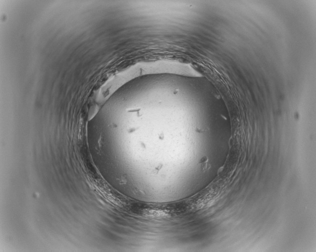 X0000087030649200705071535