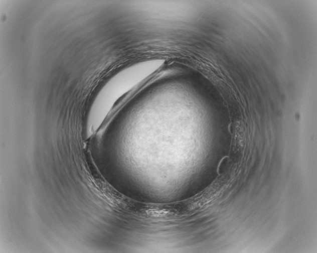 X0000087030650200705071535