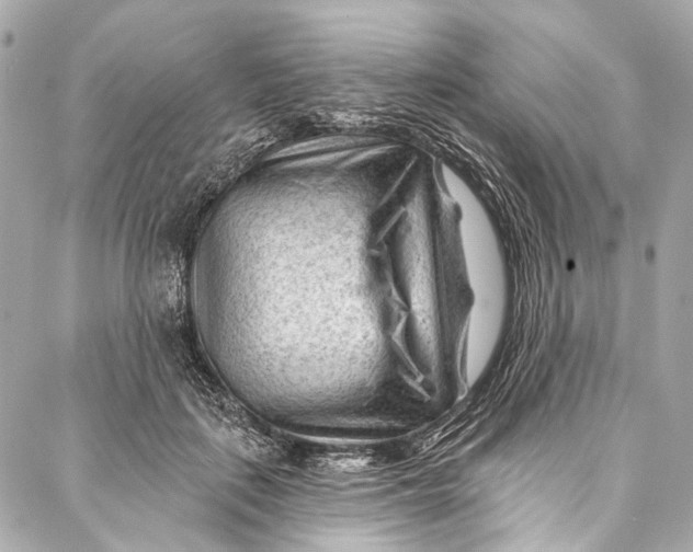 X0000087030651200705071535