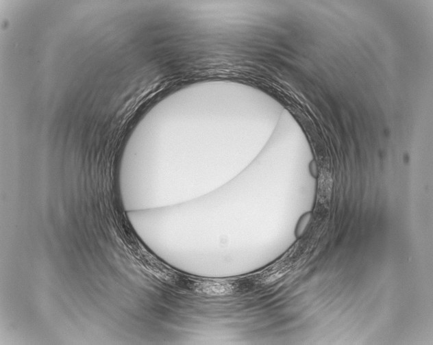 X0000087030652200705071535