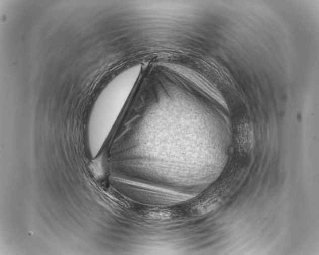 X0000087030653200705071536