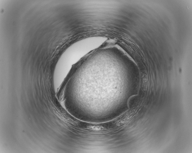 X0000087030654200705071536