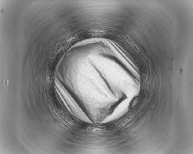 X0000087030655200705071536