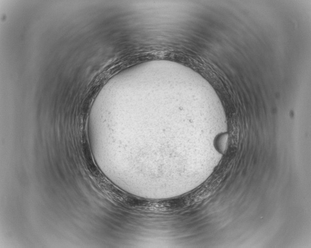 X0000087030656200705071536