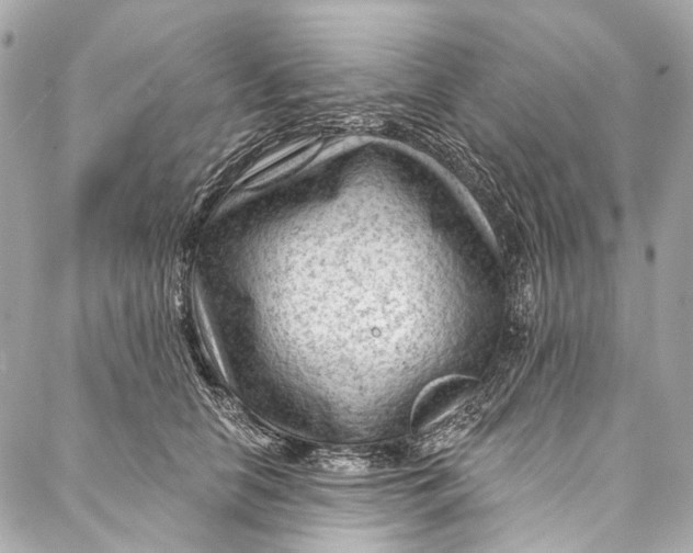 X0000087030658200705071536