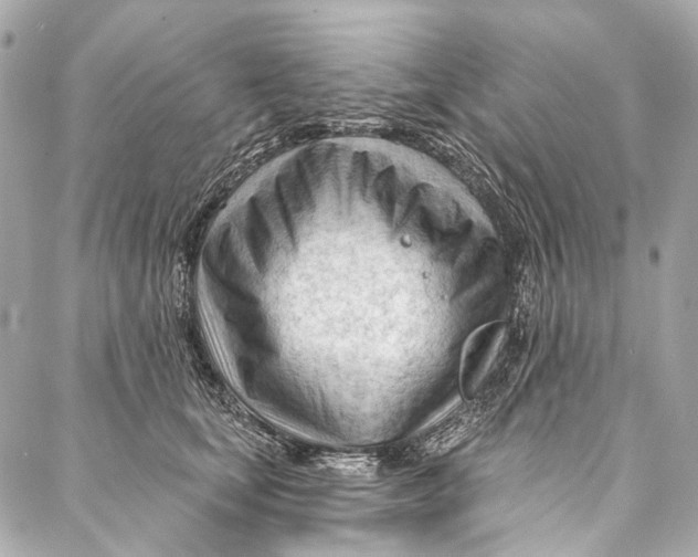 X0000087030659200705071536