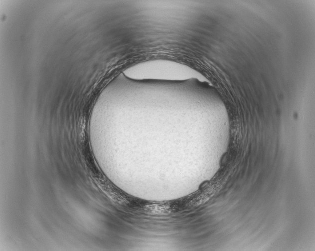 X0000087030660200705071536