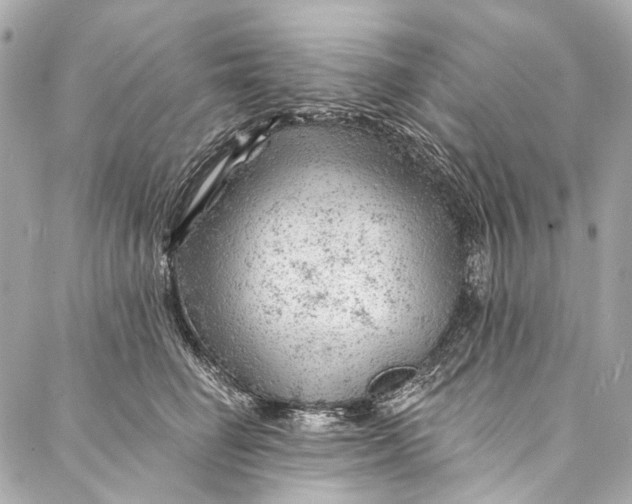 X0000087030662200705071536