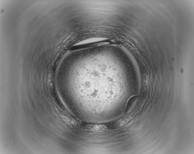 X0000087030663200705071536