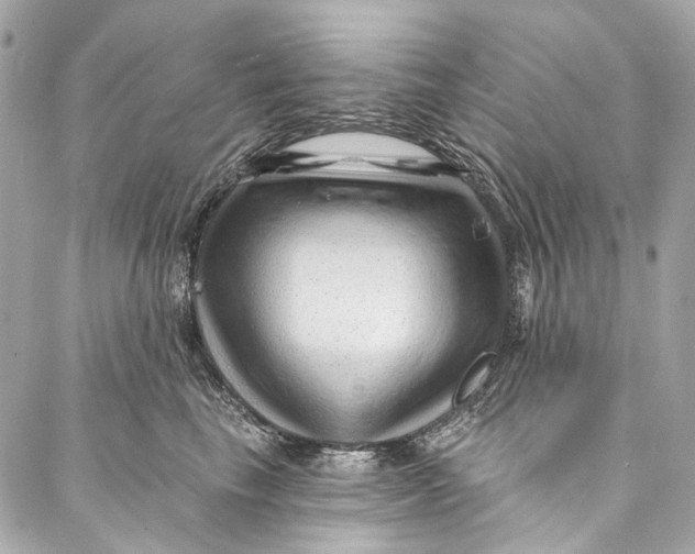 X0000087030665200705071536