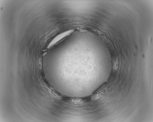 X0000087030666200705071536