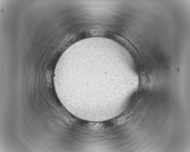 X0000087030667200705071536