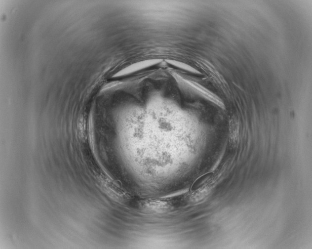 X0000087030669200705071536