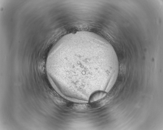 X0000087030671200705071536