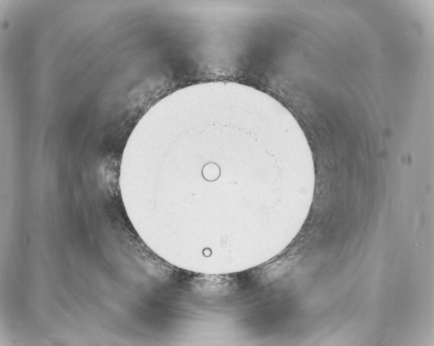 X0000087030672200705071536