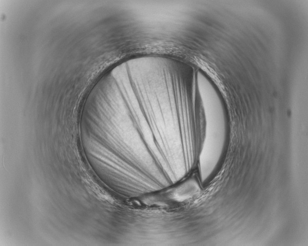 X0000087030673200705071535