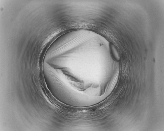 X0000087030674200705071535