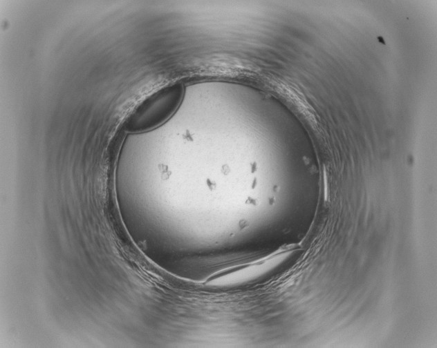 X0000087030675200705071535