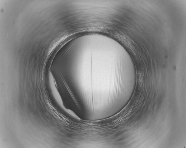 X0000087030676200705071535