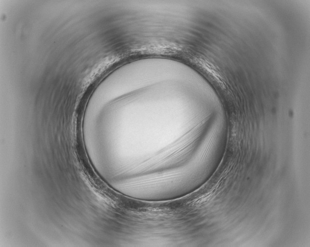 X0000087030678200705071535