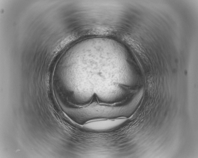 X0000087030679200705071535