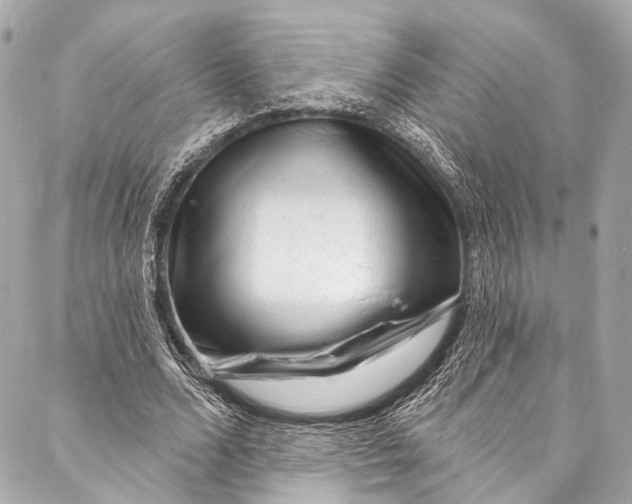 X0000087030680200705071535