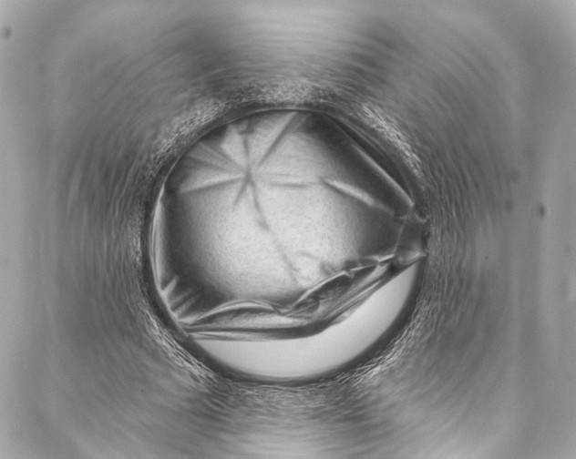 X0000087030681200705071535