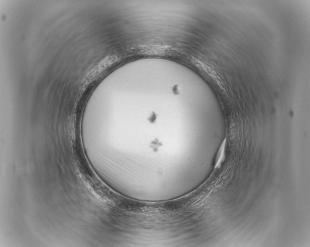 X0000087030682200705071535