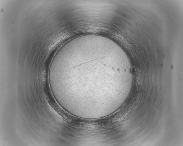 X0000087030683200705071535